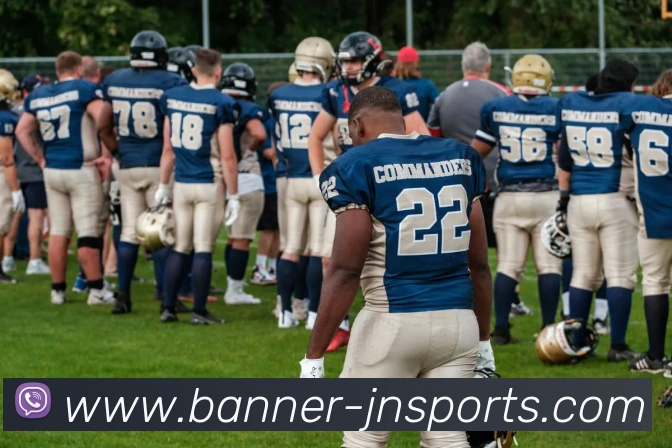 江南体育平台生态图